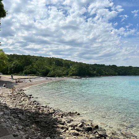 Maya * Njivice